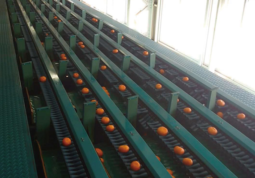 PK式選果コンベヤ<｜AGP｜シブヤ精機株式会社