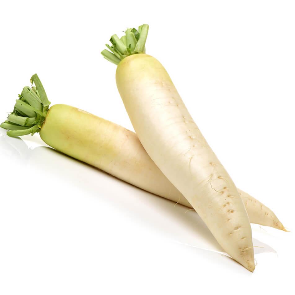 JAPANESE RADISH