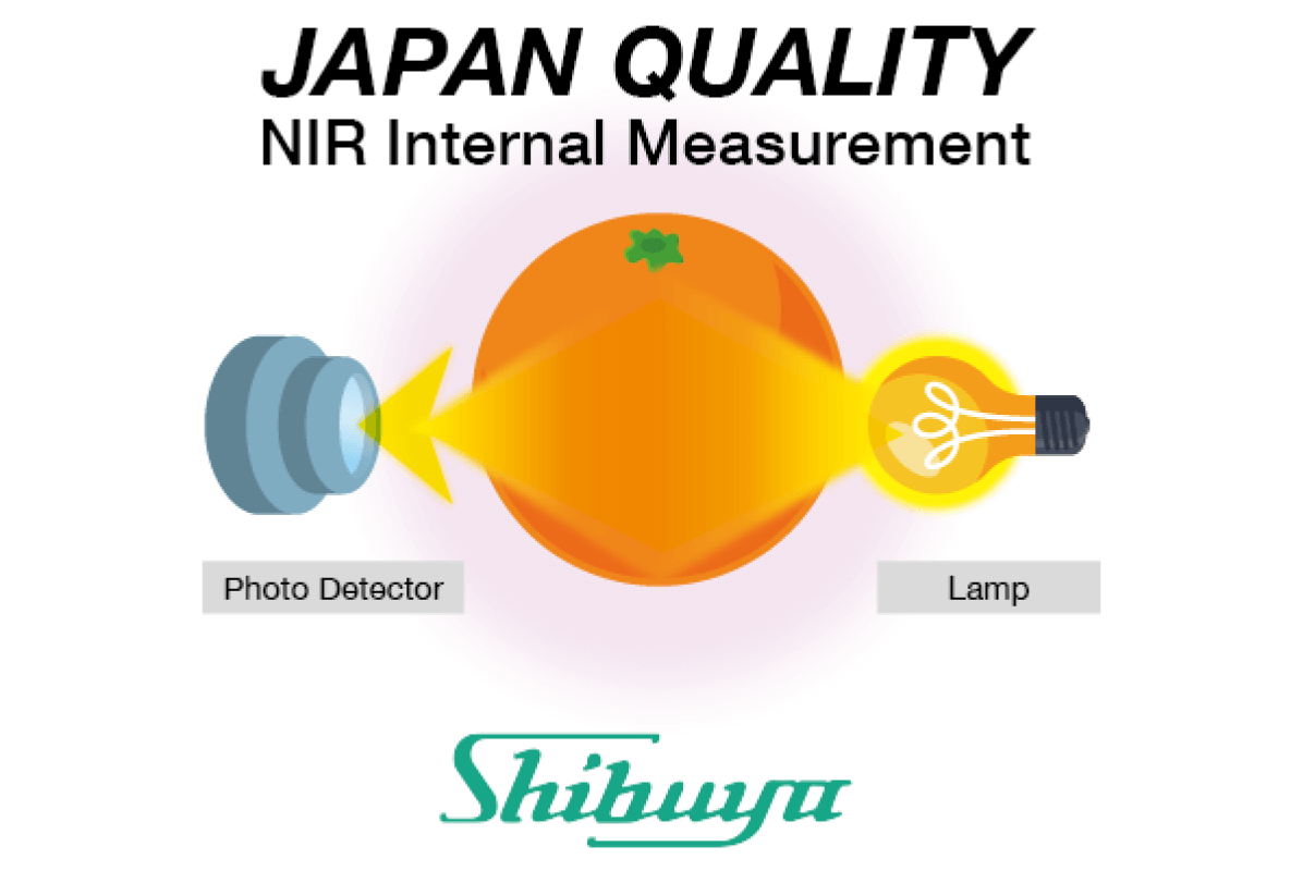 NIR Non-destructive sensor