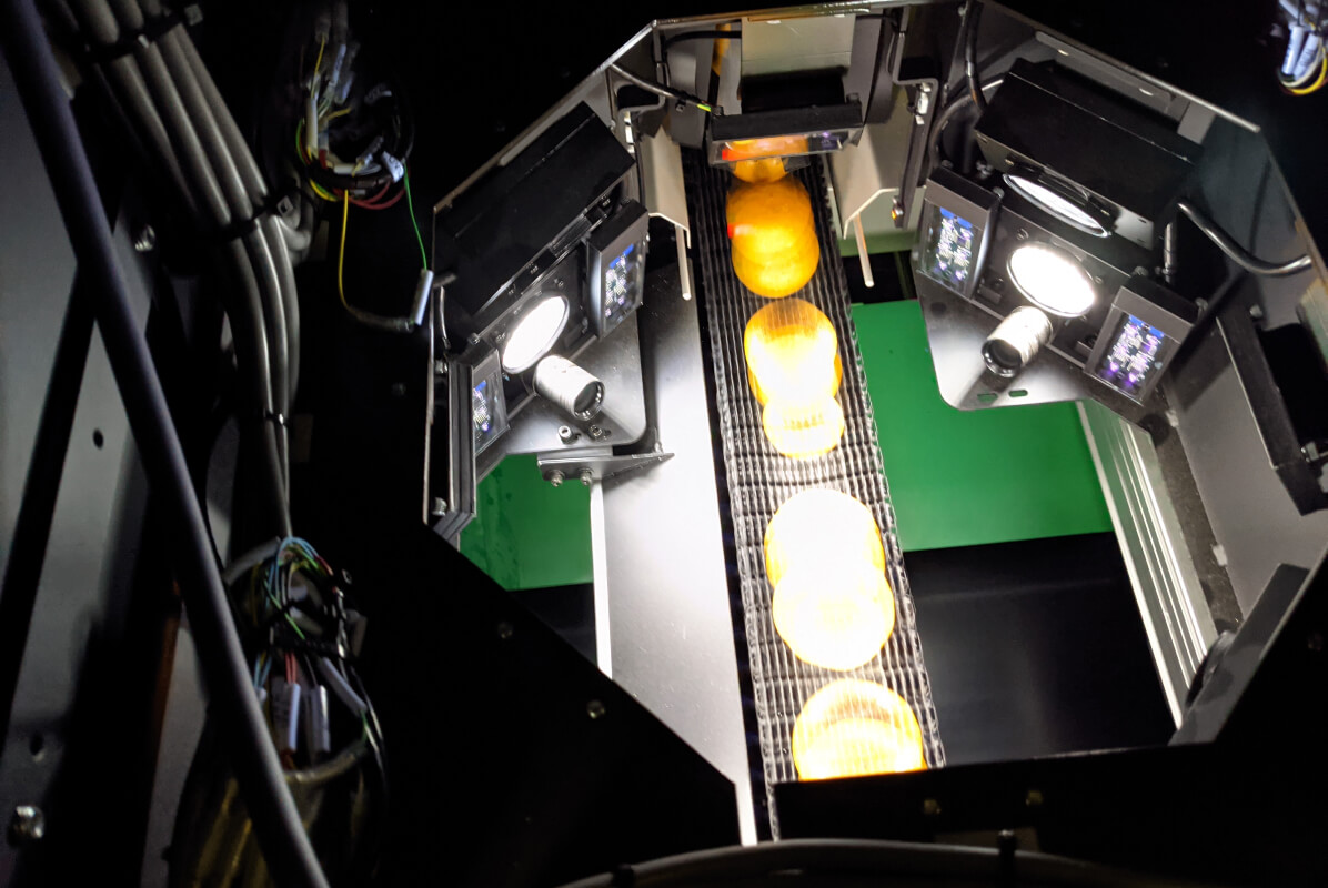 Multispectral photography