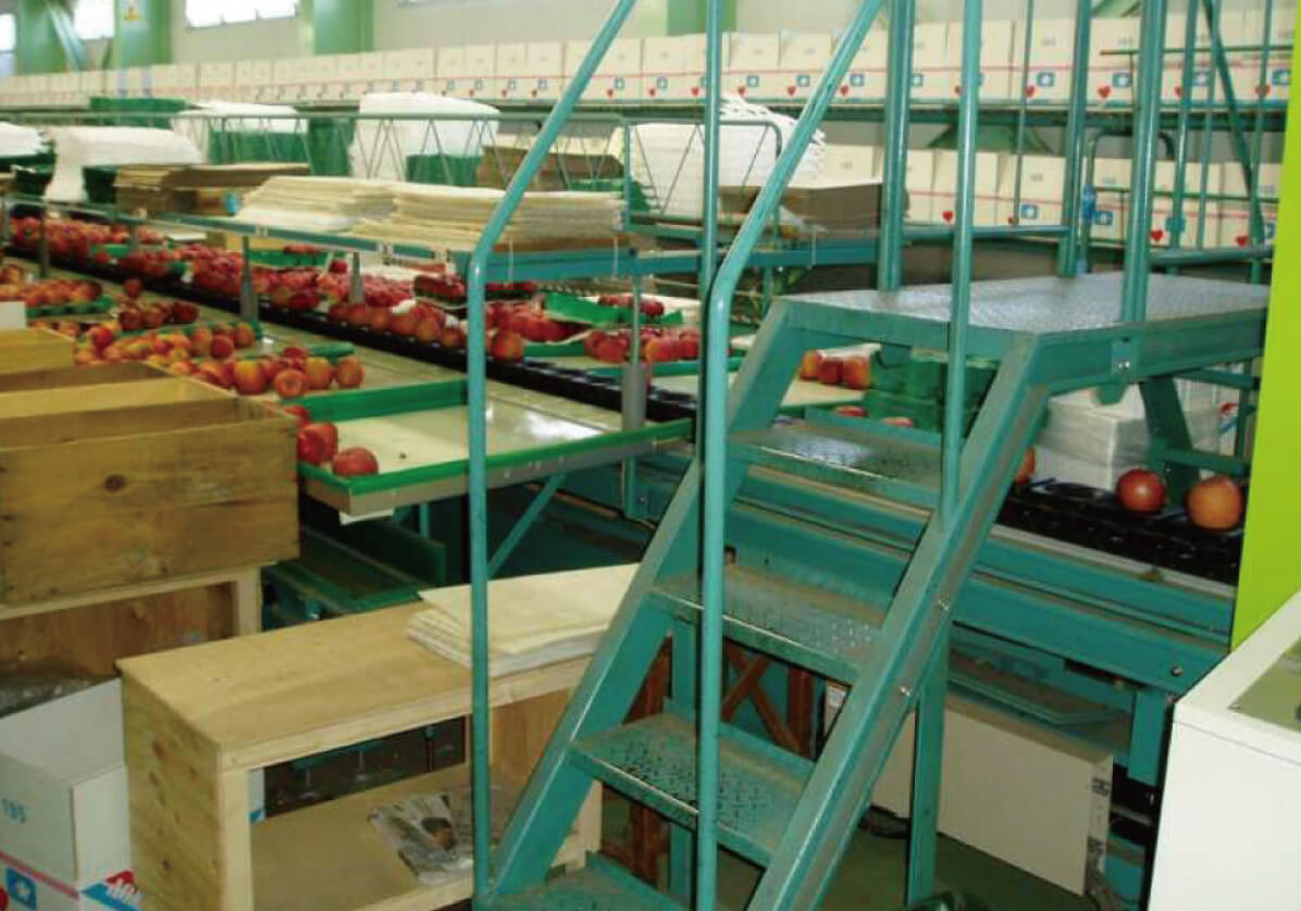 Bucket Conveyor（Round Fruit）