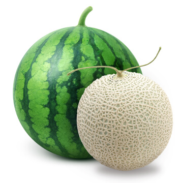 WARTERMELONS